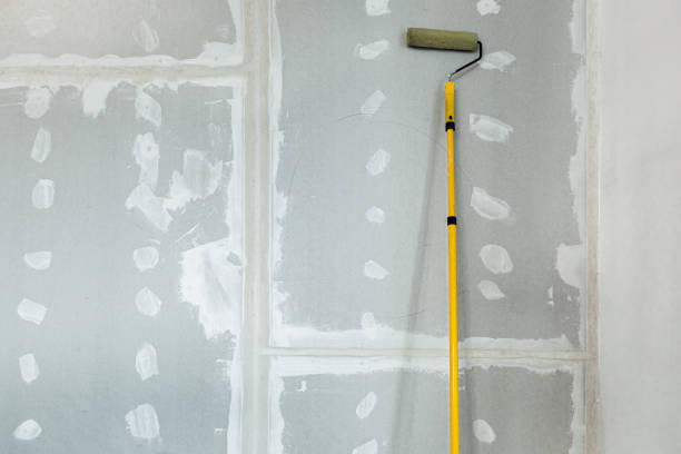 Best Attic Mold Removal  in Fairview Park, IN