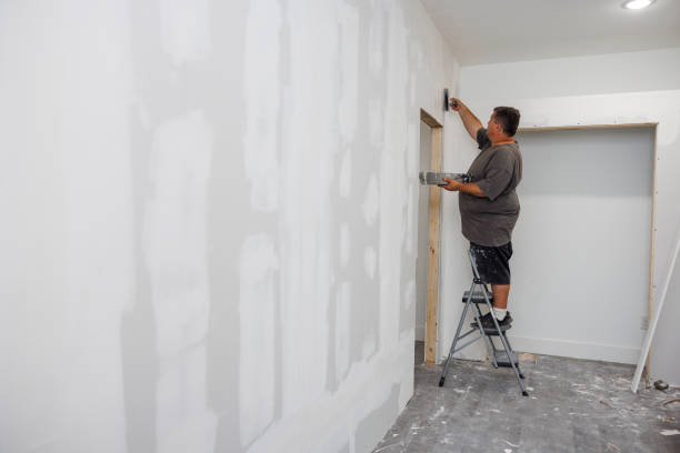 Best Basement Mold Removal  in Fairview Park, IN