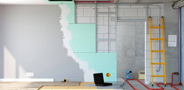 Best Basement Mold Removal  in Fairview Park, IN