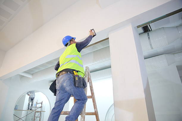 Fairview Park, IN Mold Removal Company