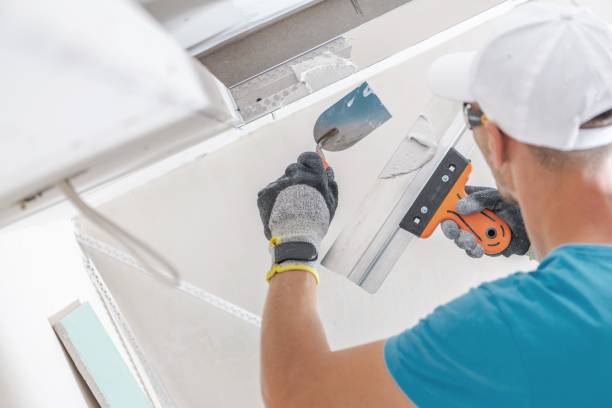 Forensic Mold Investigation in Fairview Park, IN